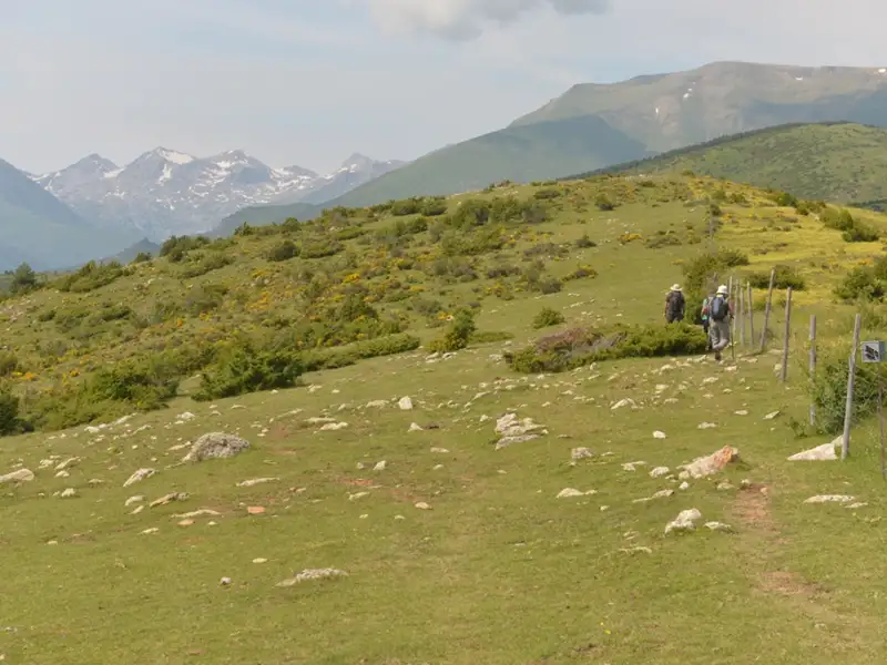 Wanderer auf einem Bergpfad mit schneebedeckten Bergen im Hintergrund.