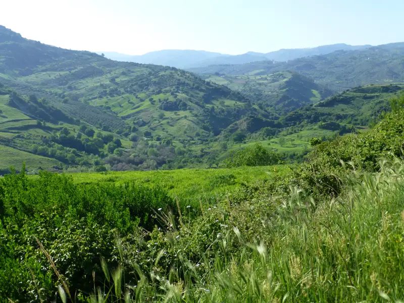Ausblick auf eine grüne Hügellandschaft.