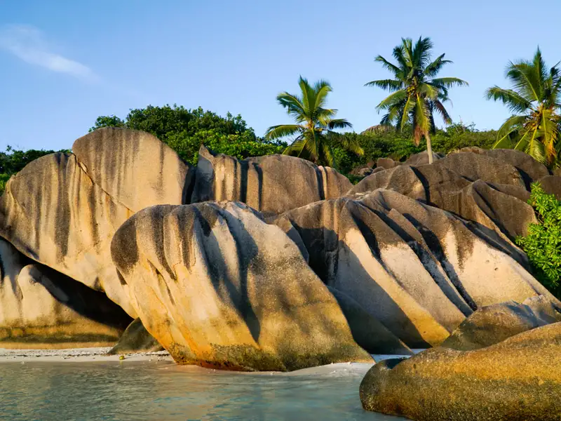 Granitfelsen und Palmen am Strand.