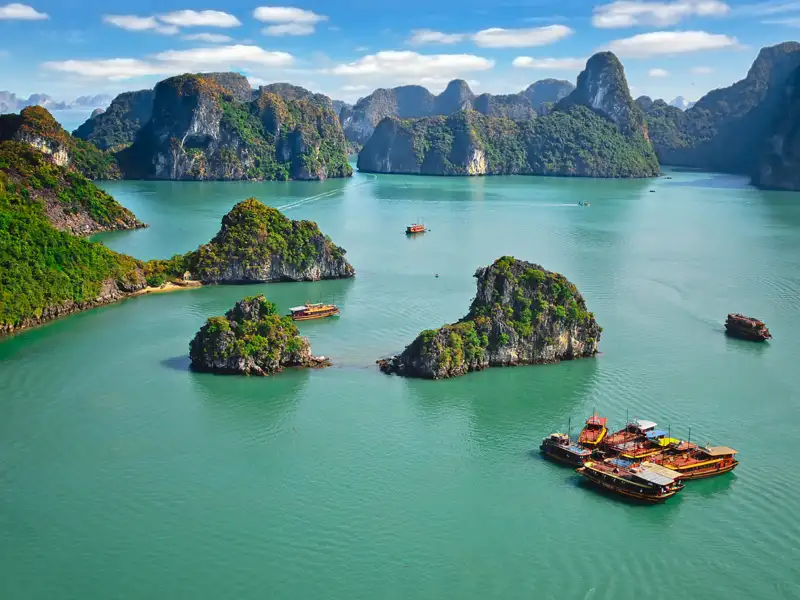 Panorama der Halong-Bucht mit bewaldeten Kalksteininseln und mehreren traditionellen Dschunken.