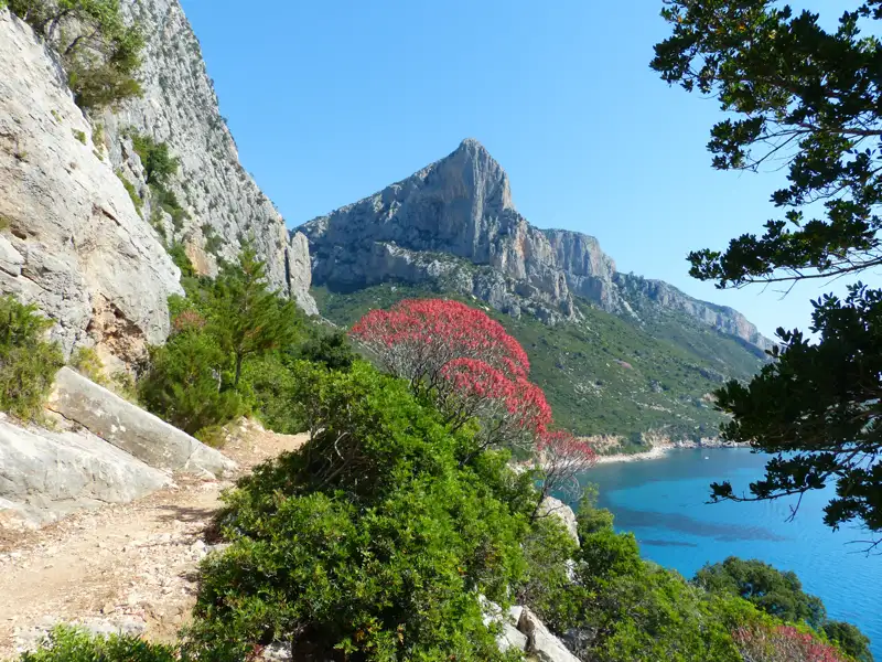 Wanderweg entlang der Küste mit Blick auf das Meer und die Berge.