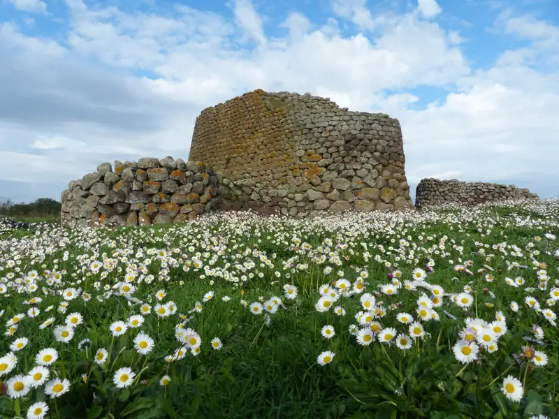 Historische Steinbauten in einem Feld voller weißer Blüten.
