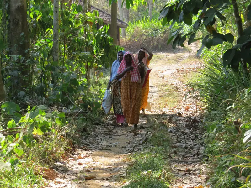Drei Frauen gehen auf einem Waldweg.