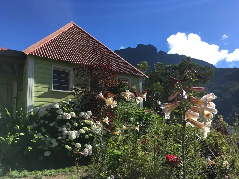 Grünes Haus mit Garten und Berglandschaft im Hintergrund