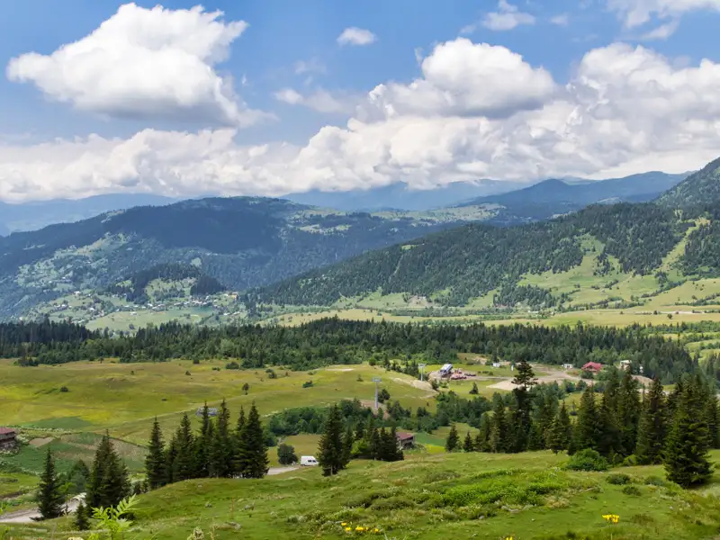 Grüne Hügellandschaft mit vereinzelten Bäumen und Häusern.