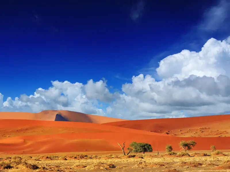 Rote Sanddünen erstrecken sich unter einem weiten blauen Himmel mit dramatischen weißen Wolkenformationen.