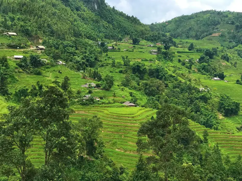 Grüne Reisterrassen und kleine Häuser in einer hügeligen Landschaft.