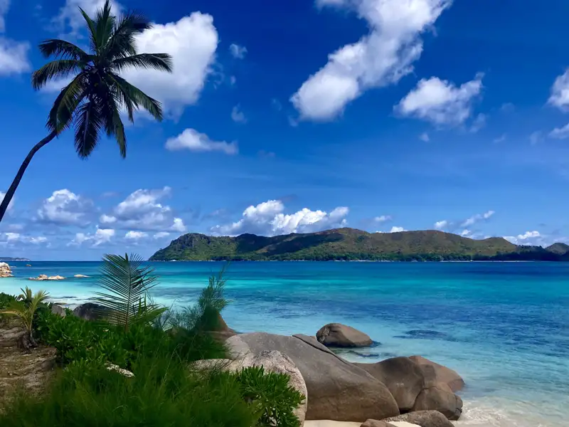 Türkisfarbenes Wasser, Palmen und eine Insel im Hintergrund.