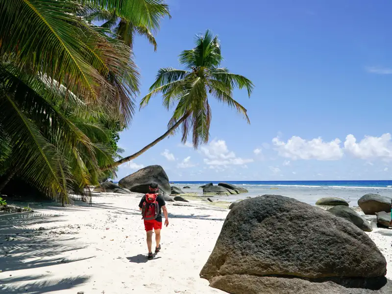 Person wandert an einem tropischen Strand mit Palmen und Felsen entlang.
