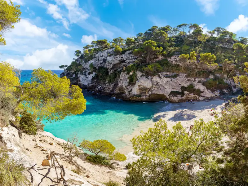 Ansicht einer malerischen Bucht mit klarem, türkisfarbenem Wasser und einem einladenden weißen Sandstrand, umgeben von üppigen grünen Pinien.