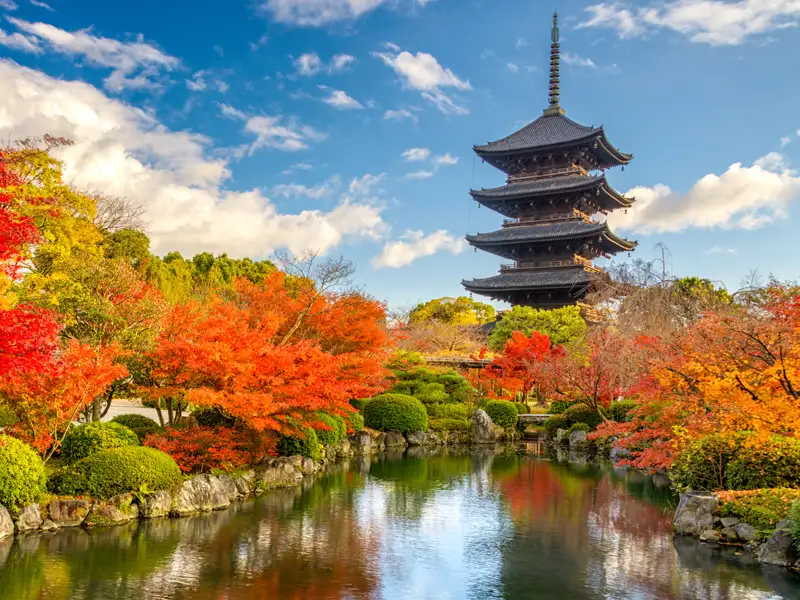 Japanische Pagode im Herbstlaub.