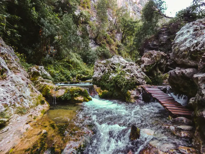 Holzsteg über einen Fluss in einer bewaldeten Schlucht.