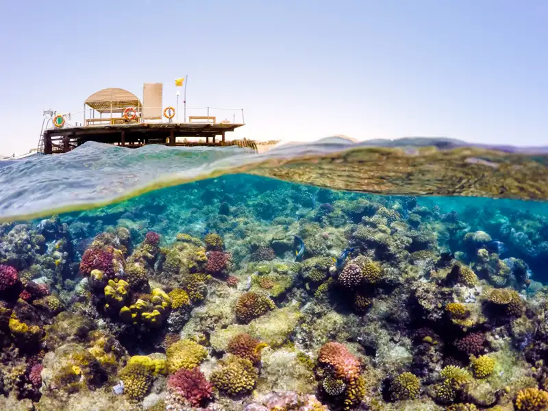 Blick auf ein farbenfrohes Korallenriff und Fische im Meer unter einem Steg.