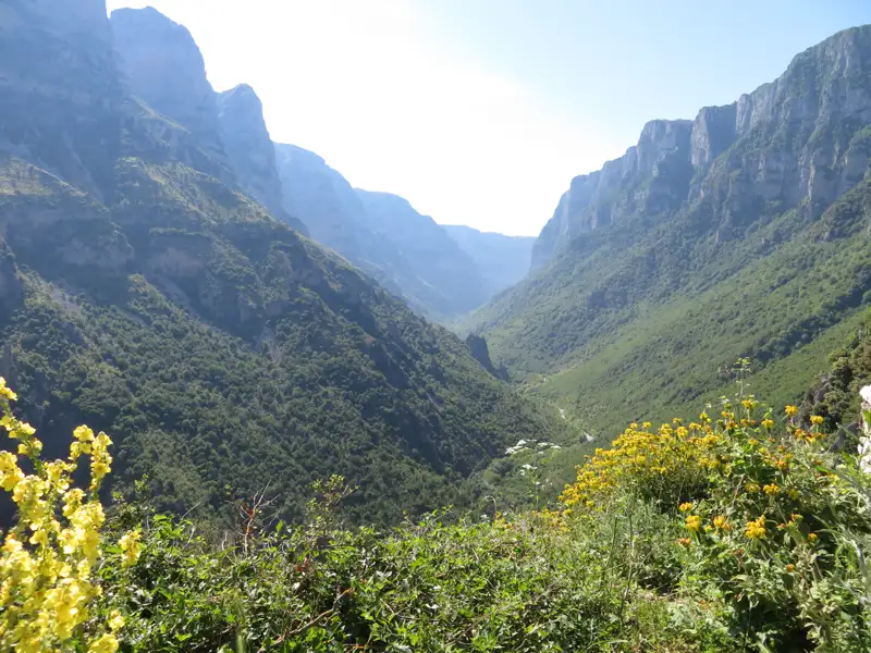 Tiefe Schlucht mit dichter Vegetation und hohen Felswänden.