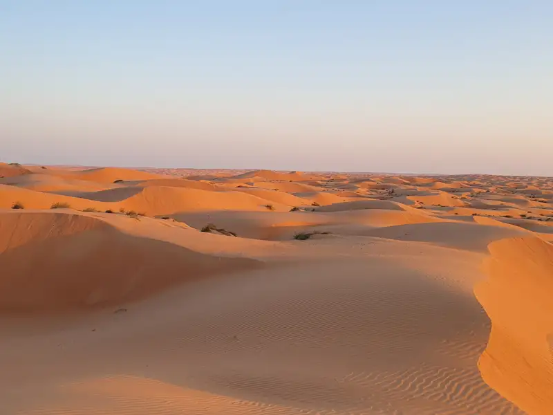 Wellenförmige Sanddünen erstrecken sich bis zum Horizont.