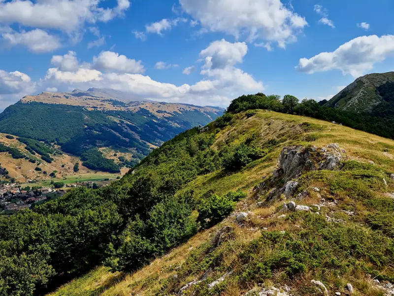 Landschaftsaufnahme von bewaldeten Hügeln und Bergen im Hintergrund.