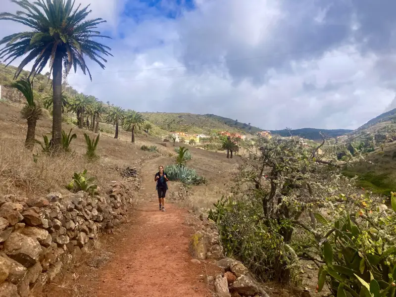 Wanderer auf einem roten Weg in einer palmengesäumten Landschaft.