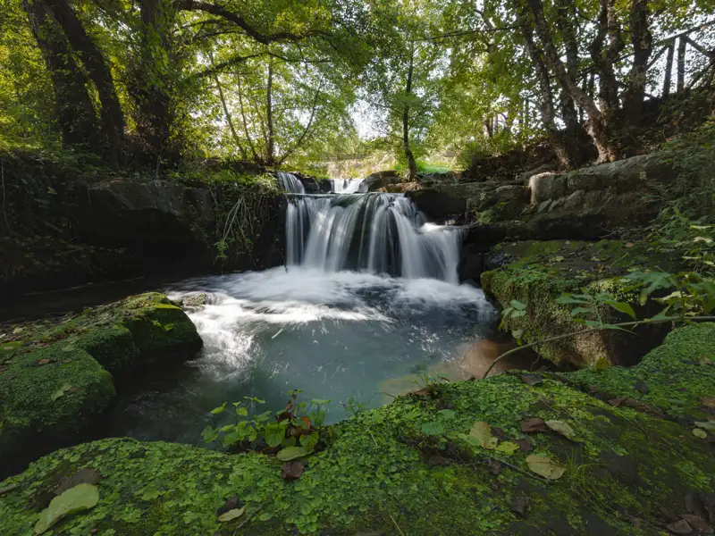 Idyllischer Wasserfall im Wald