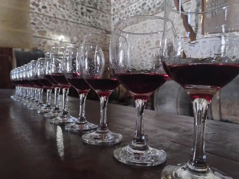 Weingläser mit Rotwein, bereit für eine Verkostung im Weinkeller.